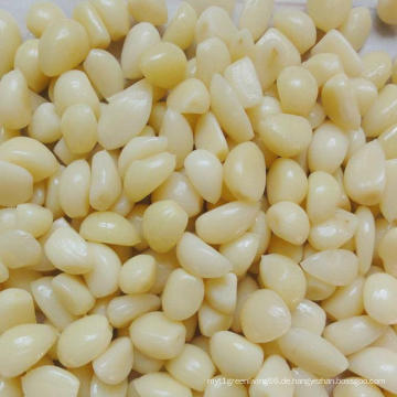 Neuer Ernte-frischer geschälter Knoblauch für Großbritannien